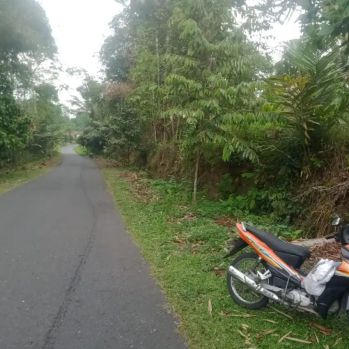 Dijual Tanah Pekarangan Di Girikerto Turi Sleman