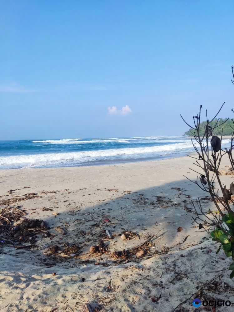 Tanah pinggir pantai krui pesisir barat