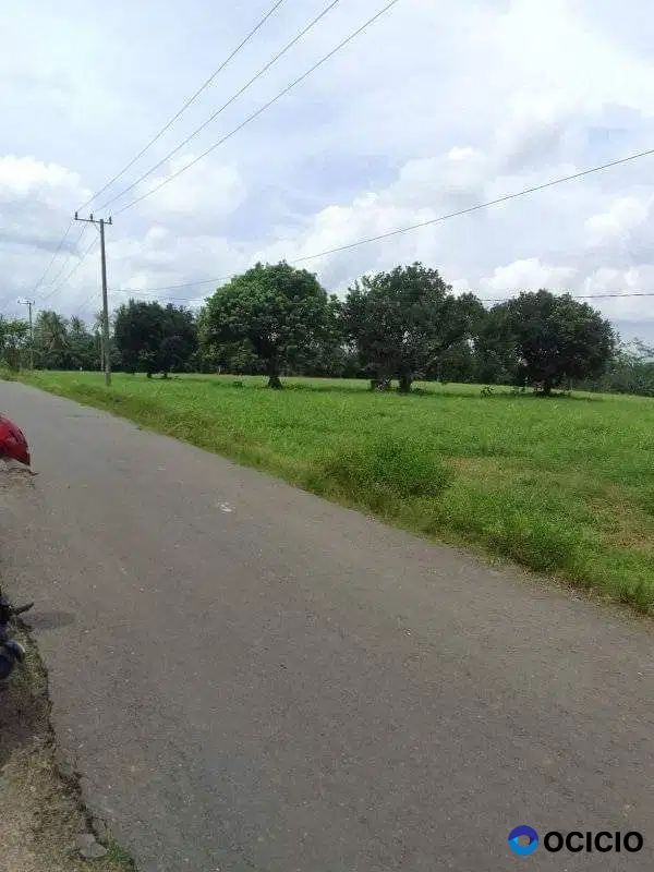 tanah 8,7 hektar pinggir jalan aspal natar