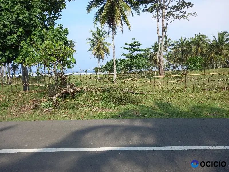 tanah di pantai mandiri krui pesisir barat