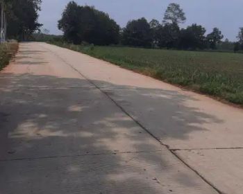 tanah di pinggir jalan penghubung branti dan gedong tataan