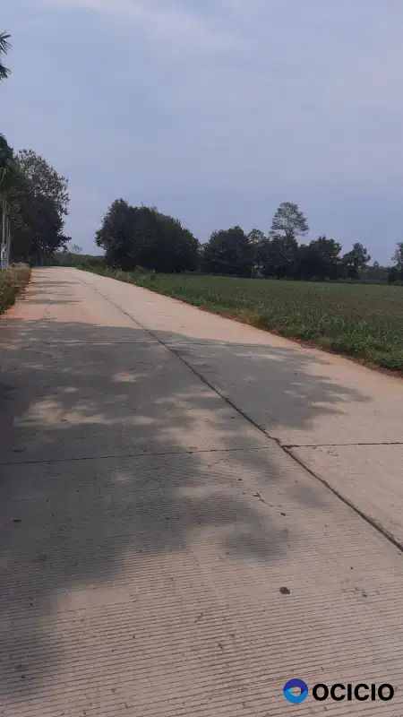 tanah di pinggir jalan penghubung branti dan gedong tataan