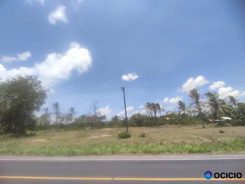 tanah 4600 meter pinggir jalan lintas kalianda