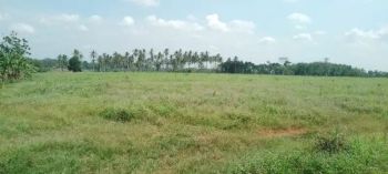 tanah 5 hektar di negeri sakti pesawaran