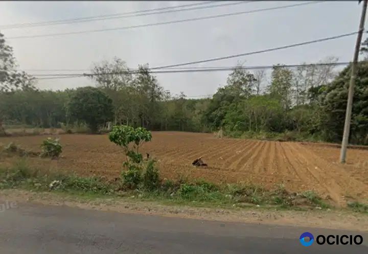 tanah 12 hektar di jalan lintas sumatera lampung tengah