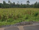 thumbnail-tanah-12-ha-di-jalan-poros-branti-gedong-tataan-0