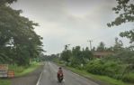 thumbnail-tanah-2-hektar-pinggir-lintas-kalianda-1
