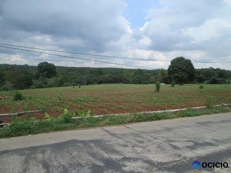 tanah 13 ,7 ha di jalan poros branti gedong tataan