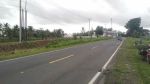thumbnail-tanah-6000-meter-pinggir-jalan-lintas-kalianda-0