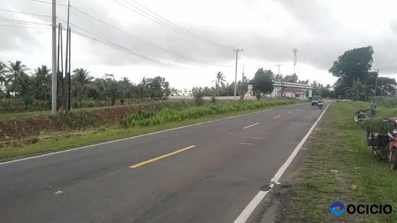tanah 6000 meter pinggir jalan lintas kalianda