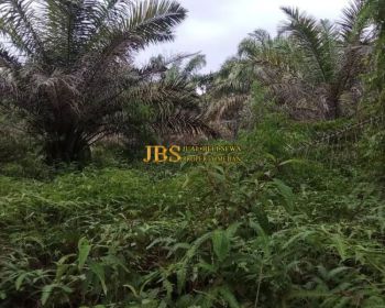 Dijual Tanah di Desa Ujung Deleng Kec. Sibolangit
