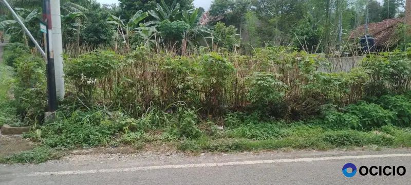 tanah cocok untuk usaha di jl mata air kemiling