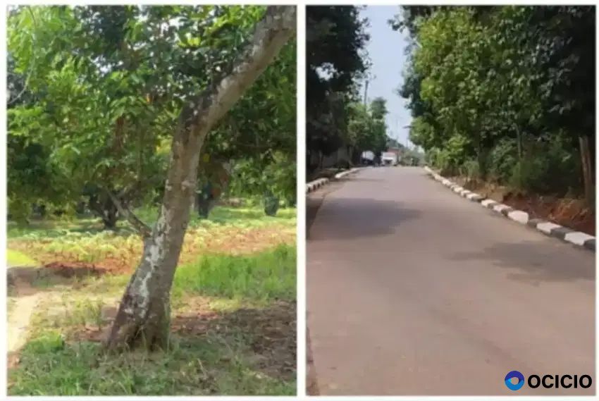 Dijual tanah murah 1.5jt/m pinggir jalan di taman sari setu bekasi