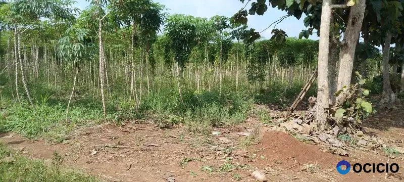 tanah 8500 meter di negeri sakti