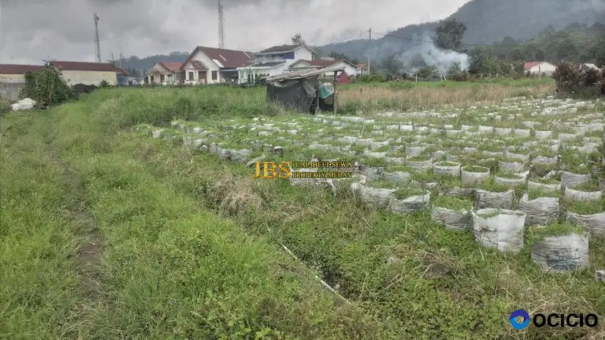 Dijual Tanah Kosong di Jalan Tongkoh (Tugu Jeruk) - Daerah Berastagi