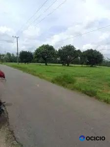 tanah 8,7 hektar di natar