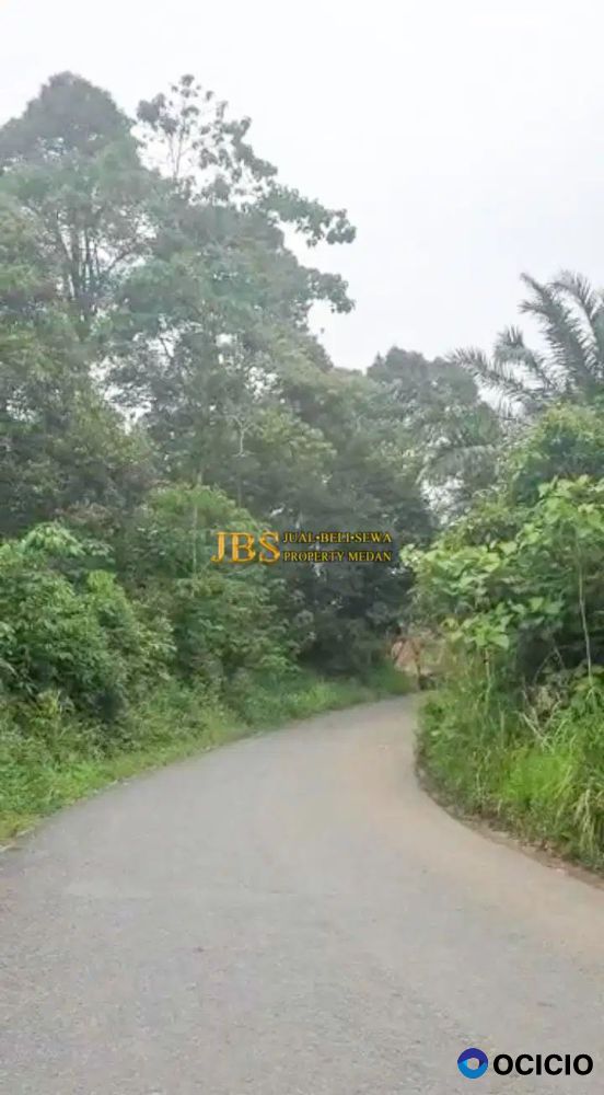 Dijual Tanah Kebun di Desa Tarean Kec. Silinda, Kab. Serdang Bedagai