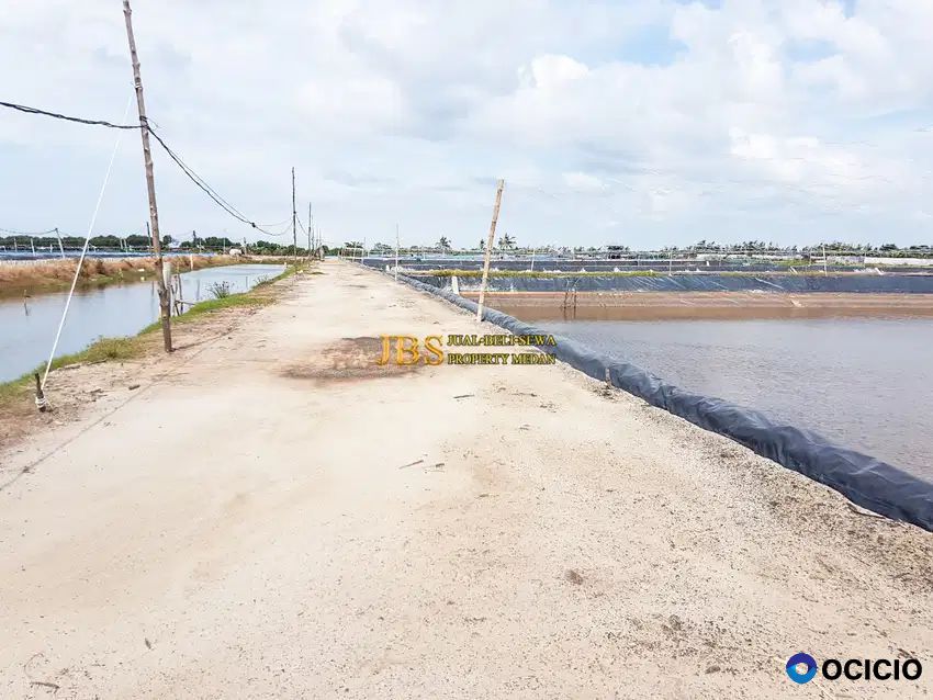 Dijual Tambak Brandan Lokasi Dusun Suka Mulia - Babalan, Langkat