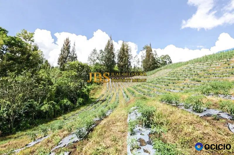 Dijual Tanah Jalan Sapo Juma Pangambatan - Merek (Karo)