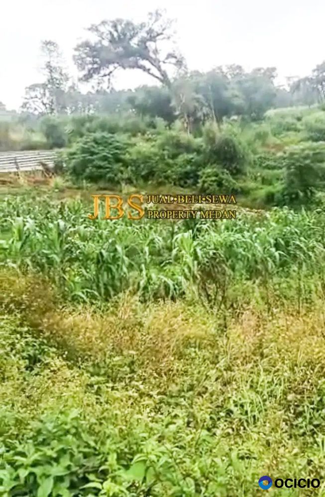 Dijual Tanah Daerah Berastagi Dekat Mickey Holiday Blkg Hotel Mutiara