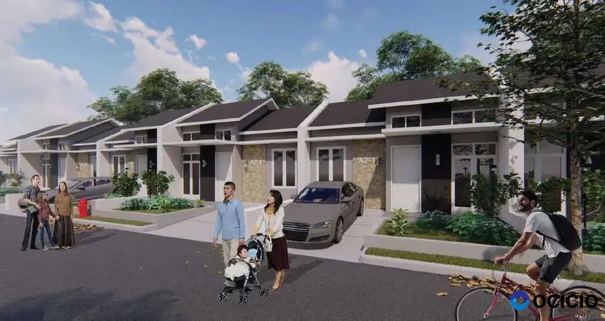 Tenjo City Metropolis Tipe Orchid