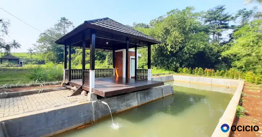 Tasnim Fish Pond Tipe 300