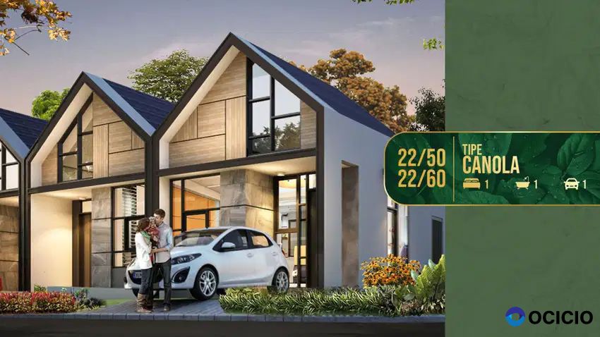 Golden Vista Tipe Canola