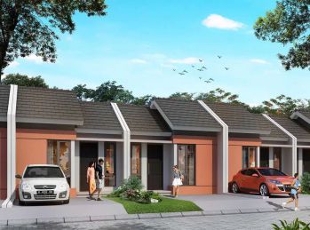 Puri Canary Tipe Crested