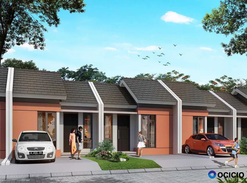 Puri Canary Tipe Crested