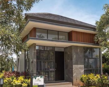 Golden Hills Tipe Cortona