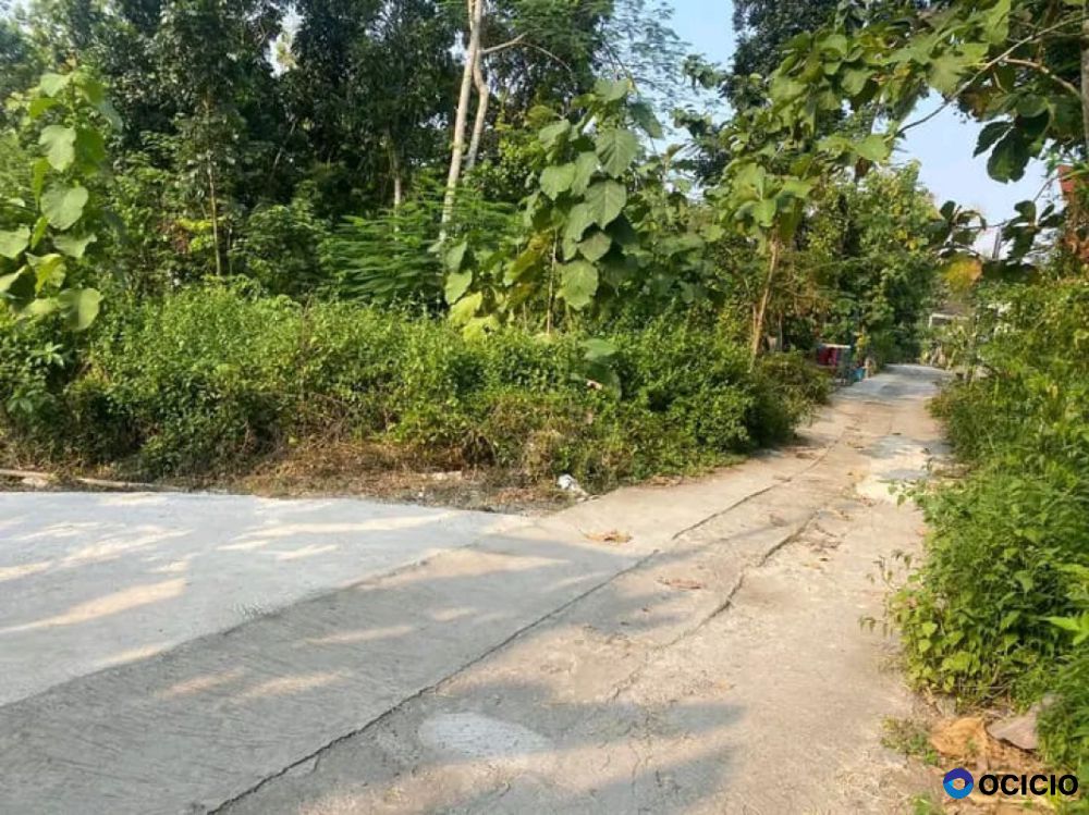 Tanah pekarangan hook dua muka selatan kampus UMY kasihan bantul