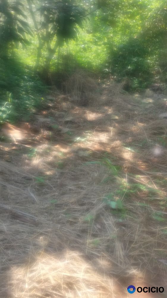 Jual tanah bogor jonggol harga murah sekali