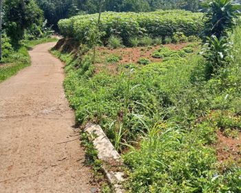 Saya jual menjual tanah dan sewa