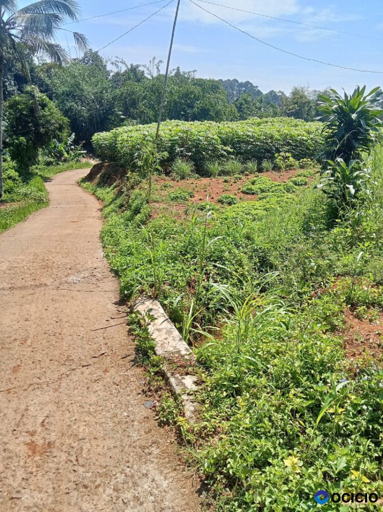 Saya jual menjual tanah dan sewa