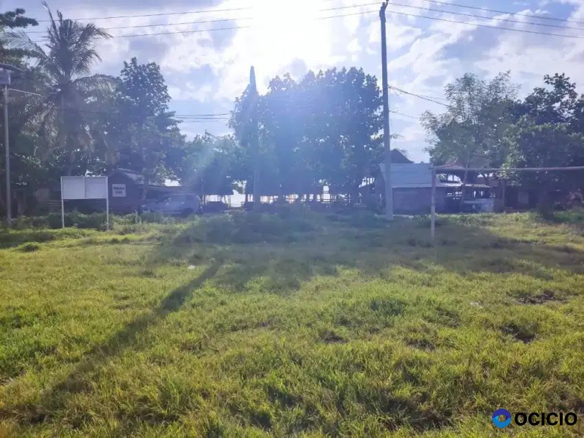 Tanah di pusat kota krui pesisir barat