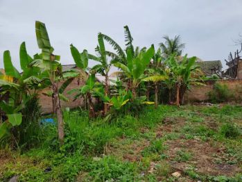 Tanah 184 meter di tanjung senang