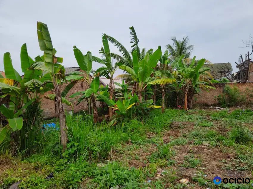 Tanah 184 meter di tanjung senang