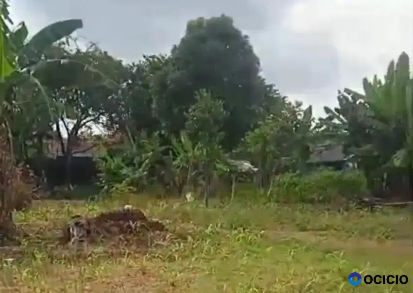 Tanah di tirtaria way kandis