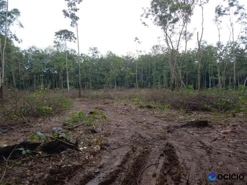 Tanah 1 ha di tanjung bintang