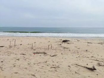 Tanah pantai 3 hektar di Biha pesisir barat