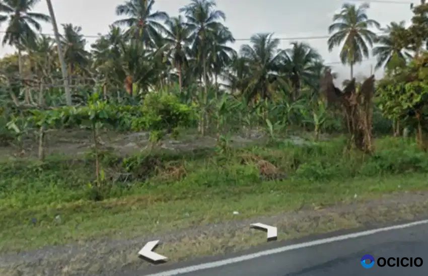 Tanah 3,2 hektar pinggir lintas kalianda