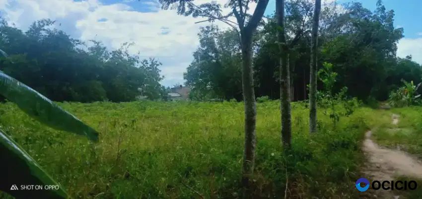 Tanah 2200 meter dekat kawasan industri tanjung bintang