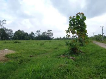 Tanah 10 hektar di rulung mulya natar