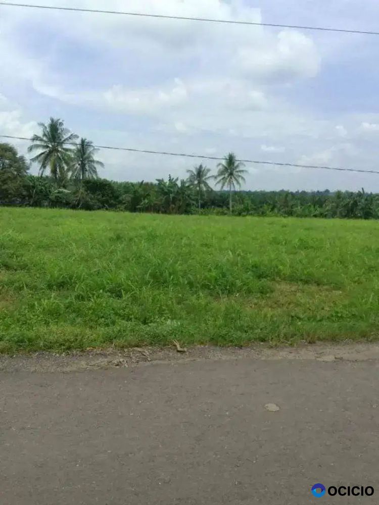 Tanah 8,7 hektar batas sungai pinggir aspal natar