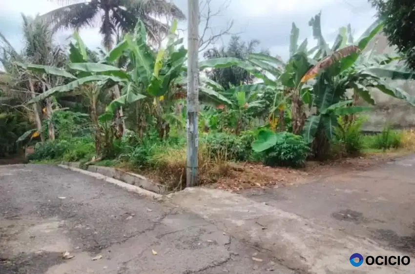 Tanah 300 meter di pramuka dekat global madani rajabasa