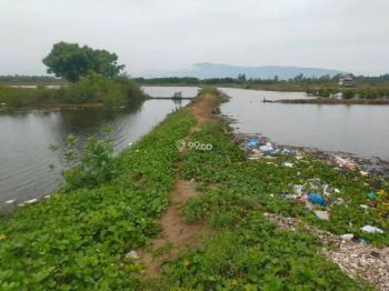 Sale Tanah: tanah dijual