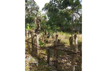 Sale Tanah: tanah dijual