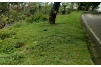 tanah dijual Blang bintang