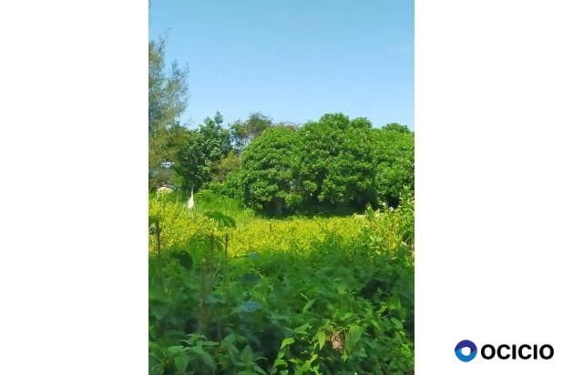 tanah dijual di ulele