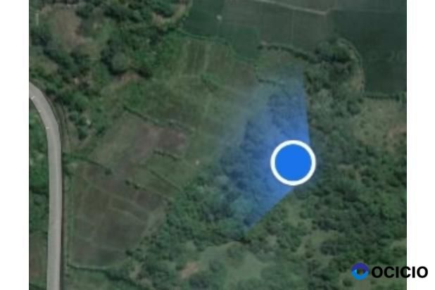 Sale Tanah: tanah kebun